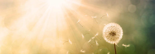 Sonnenallergie – Entstehung, Symptome, Behandlung